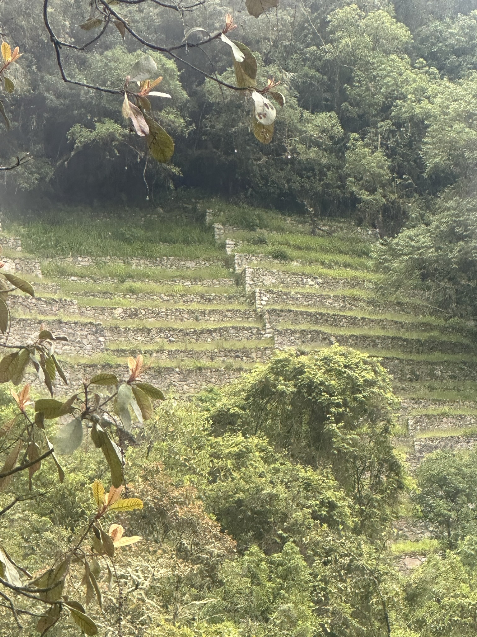Peru - Image 825