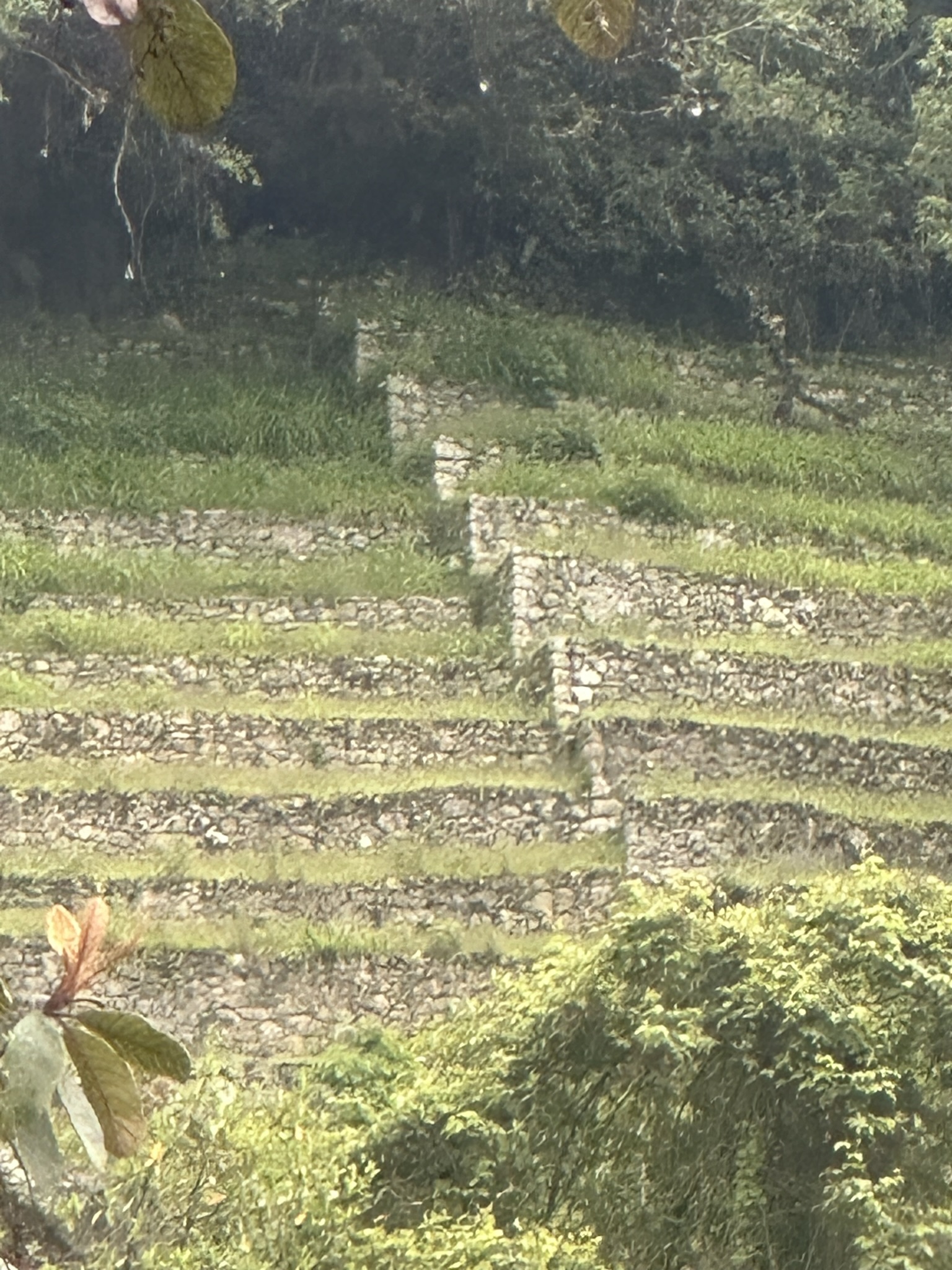 Peru - Image 826