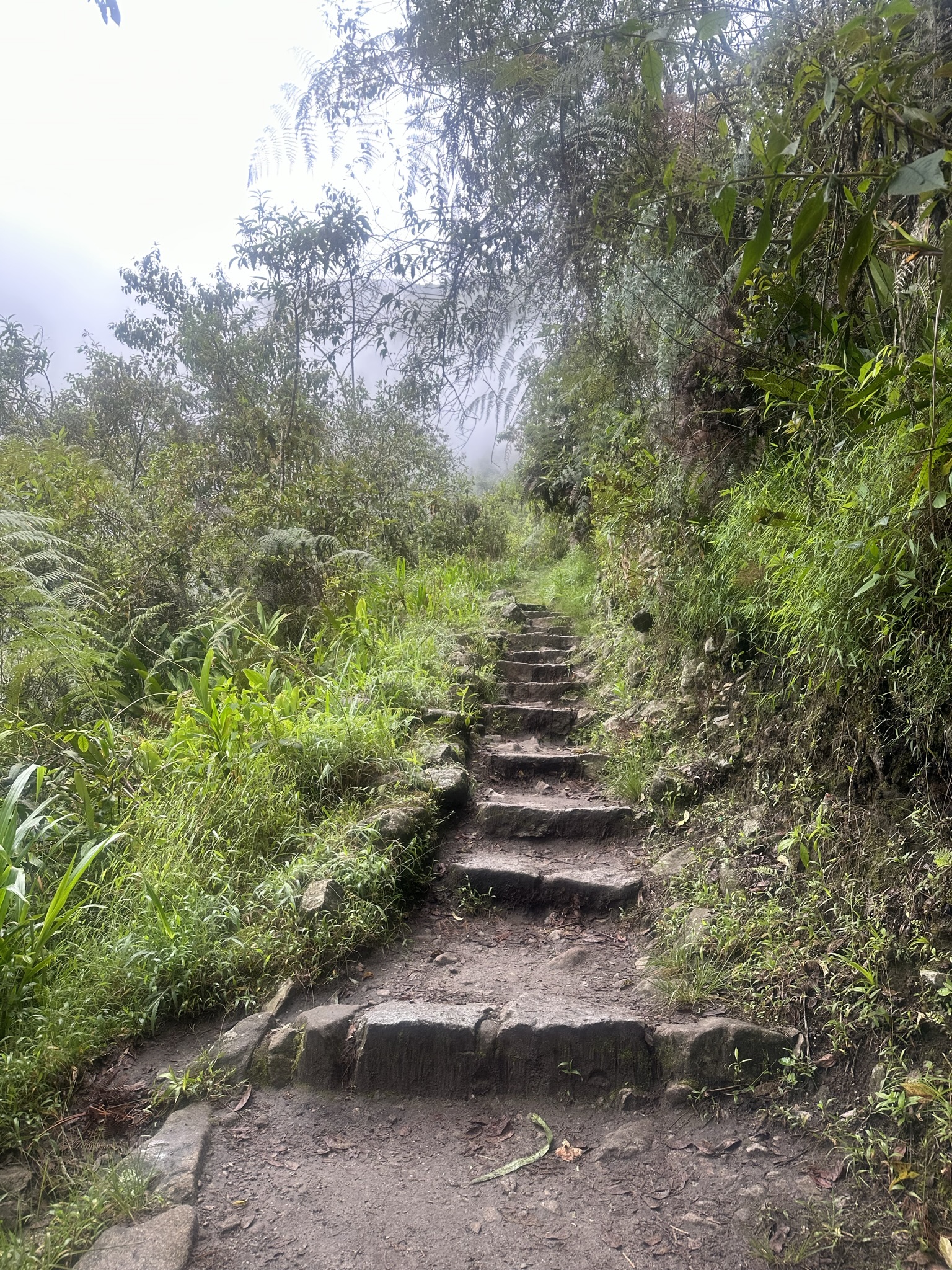 Peru - Image 828