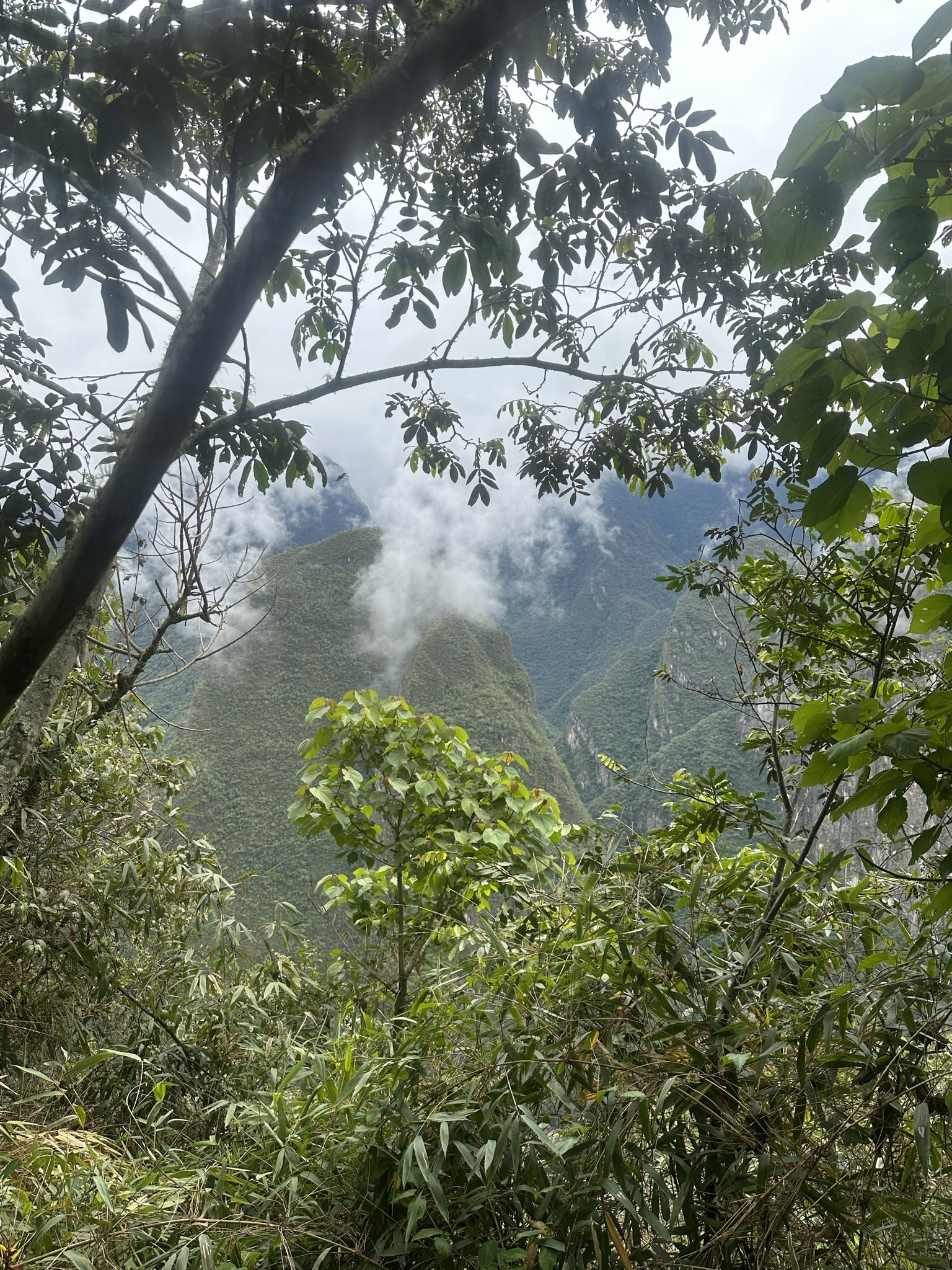 Peru - Image 839