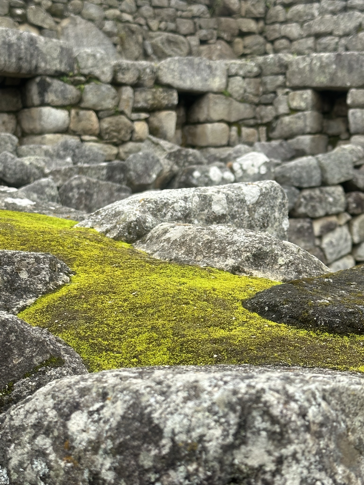 Peru - Image 928
