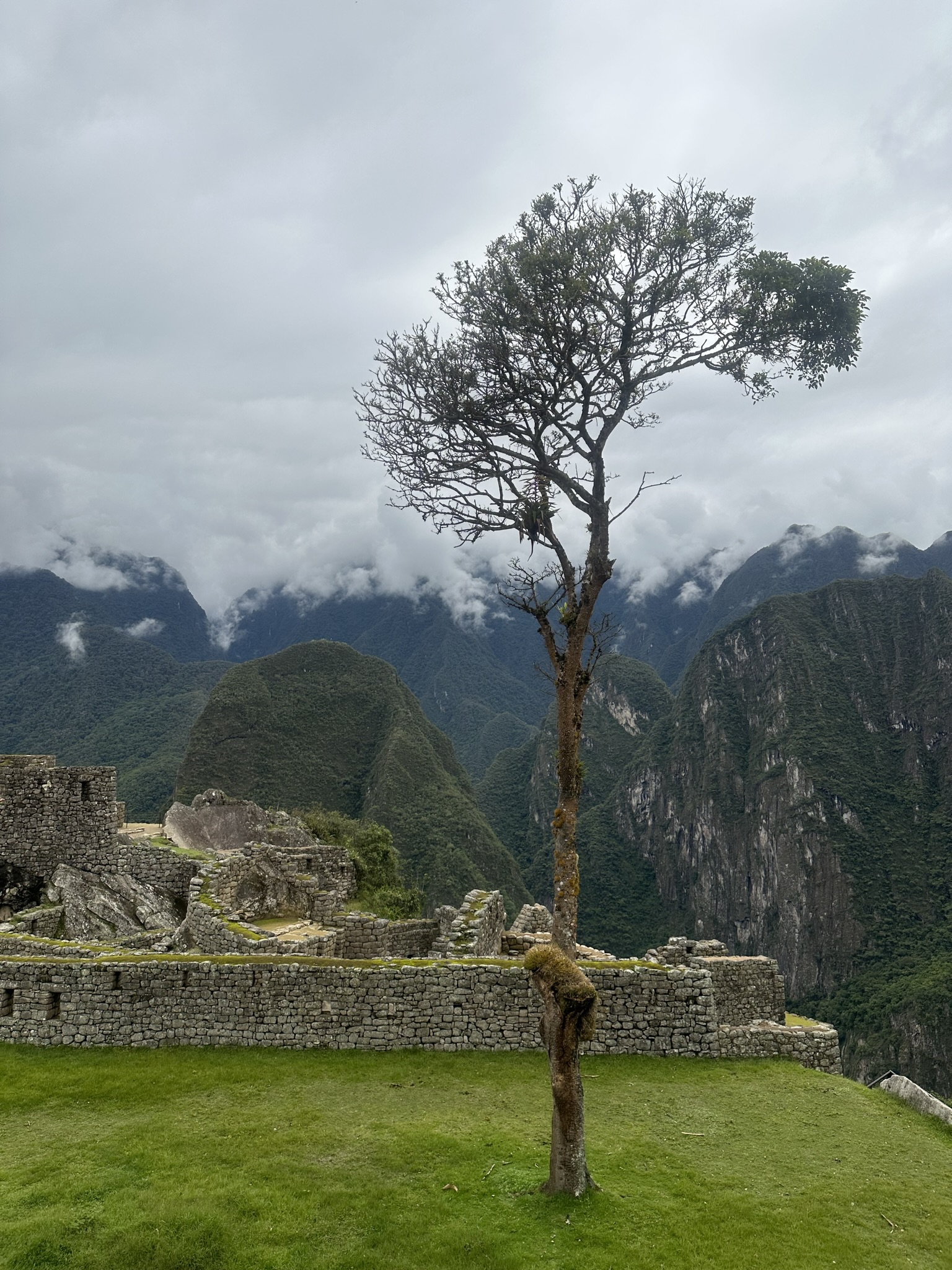 Peru - Image 932