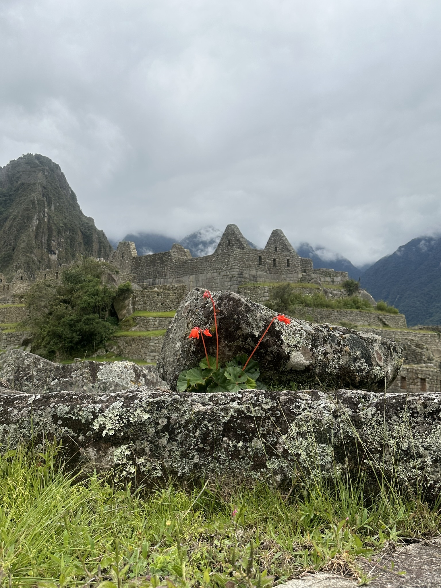 Peru - Image 944