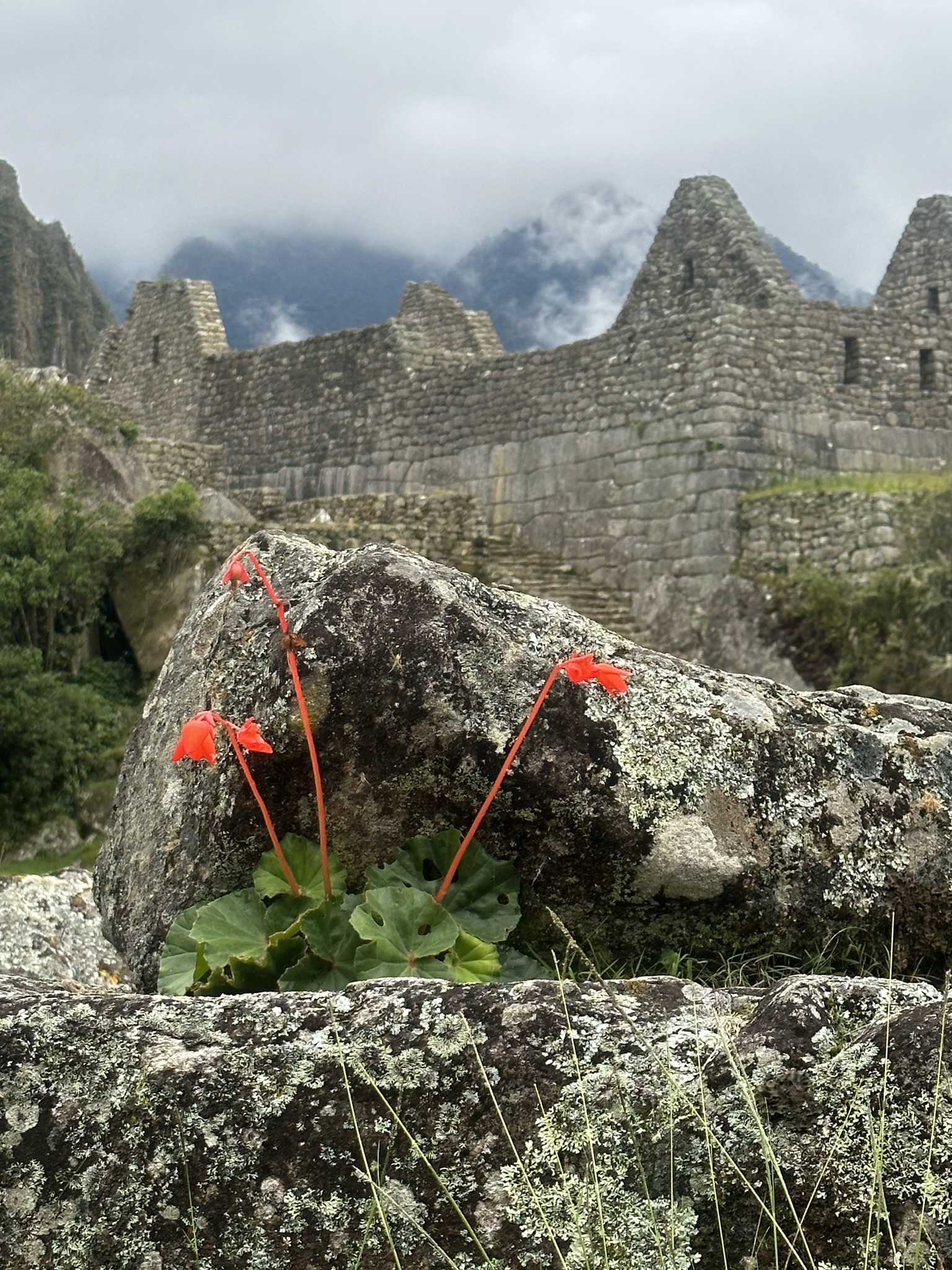 Peru - Image 947