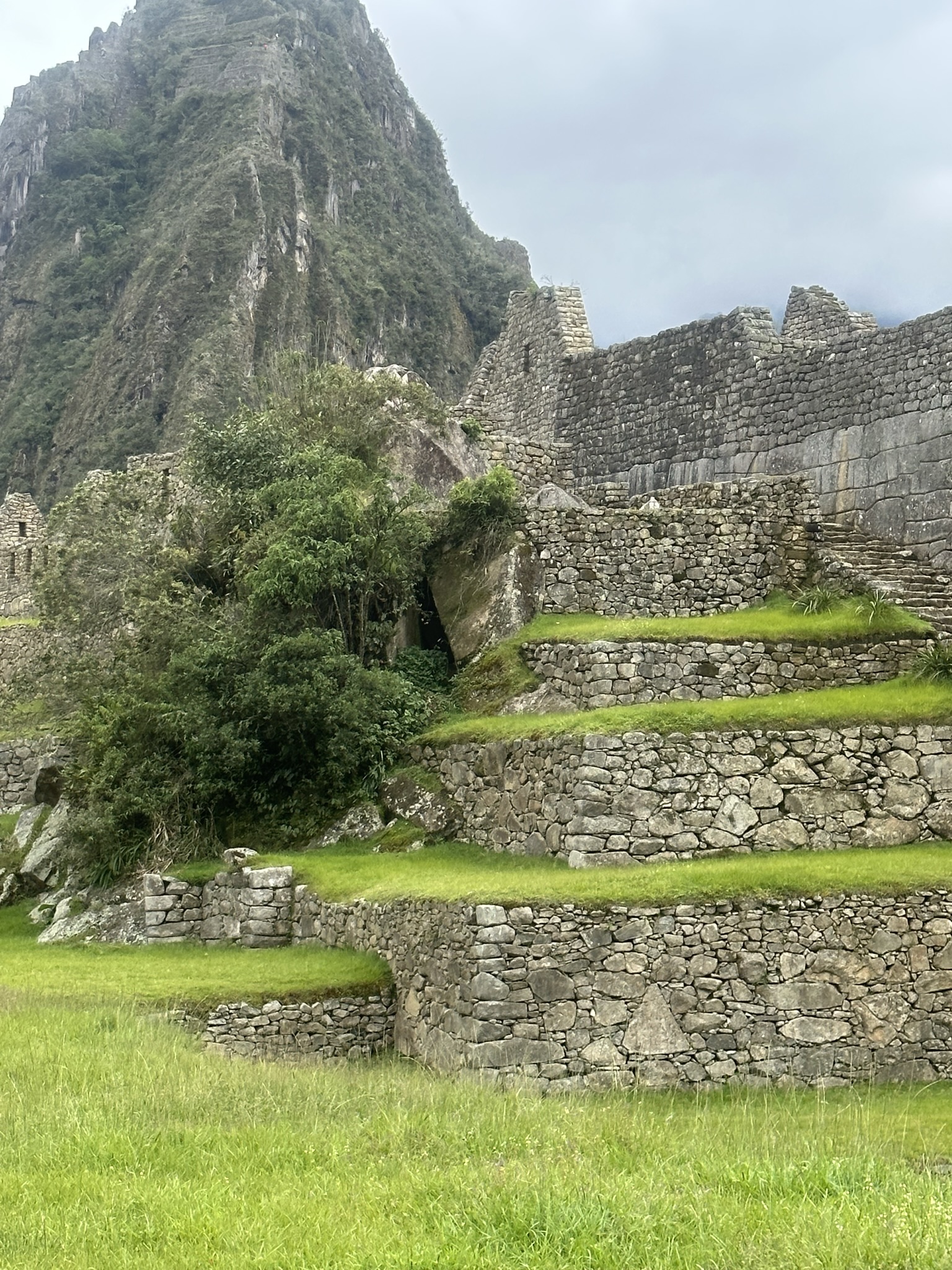 Peru - Image 948