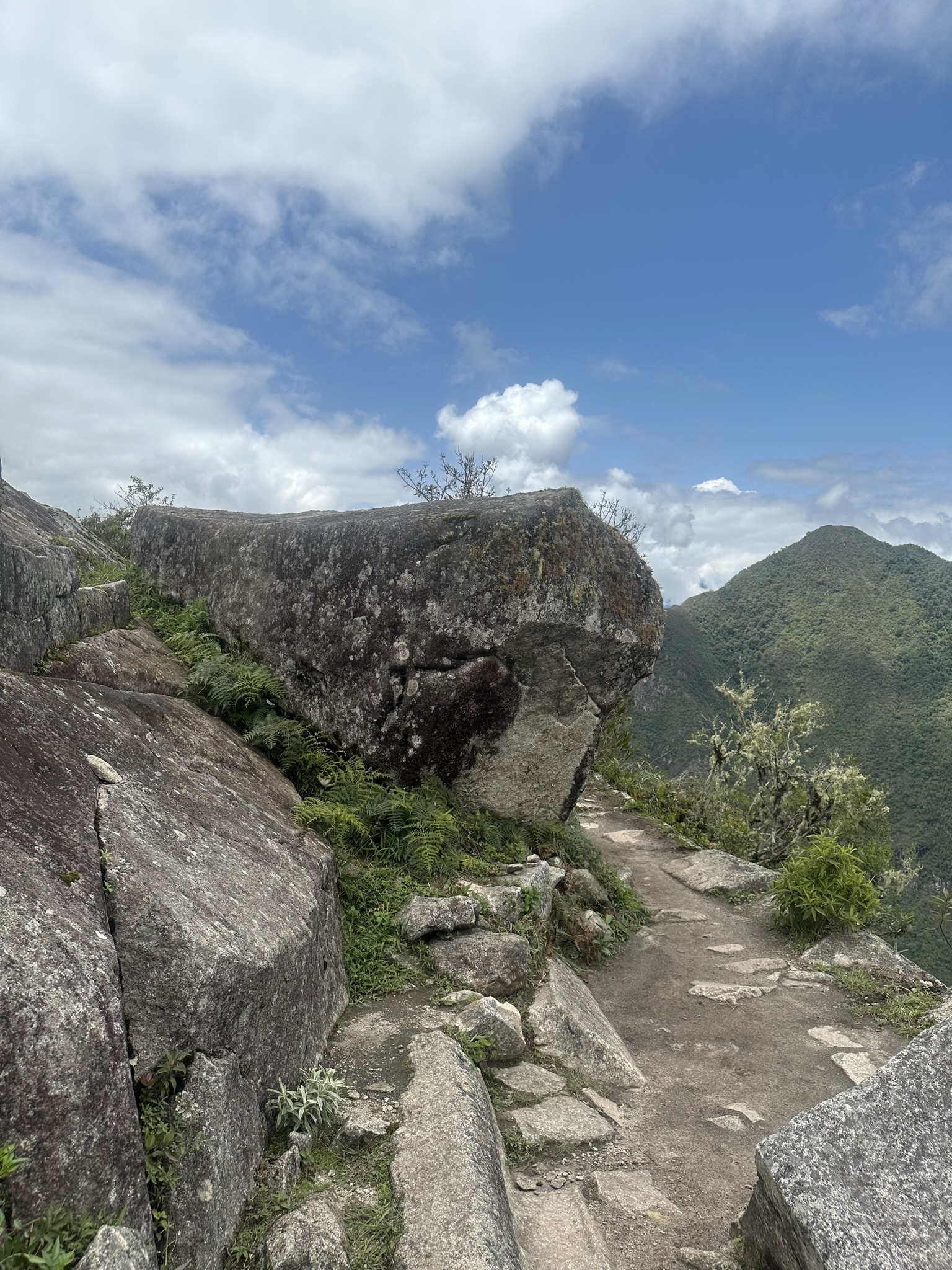 Peru - Image 1042