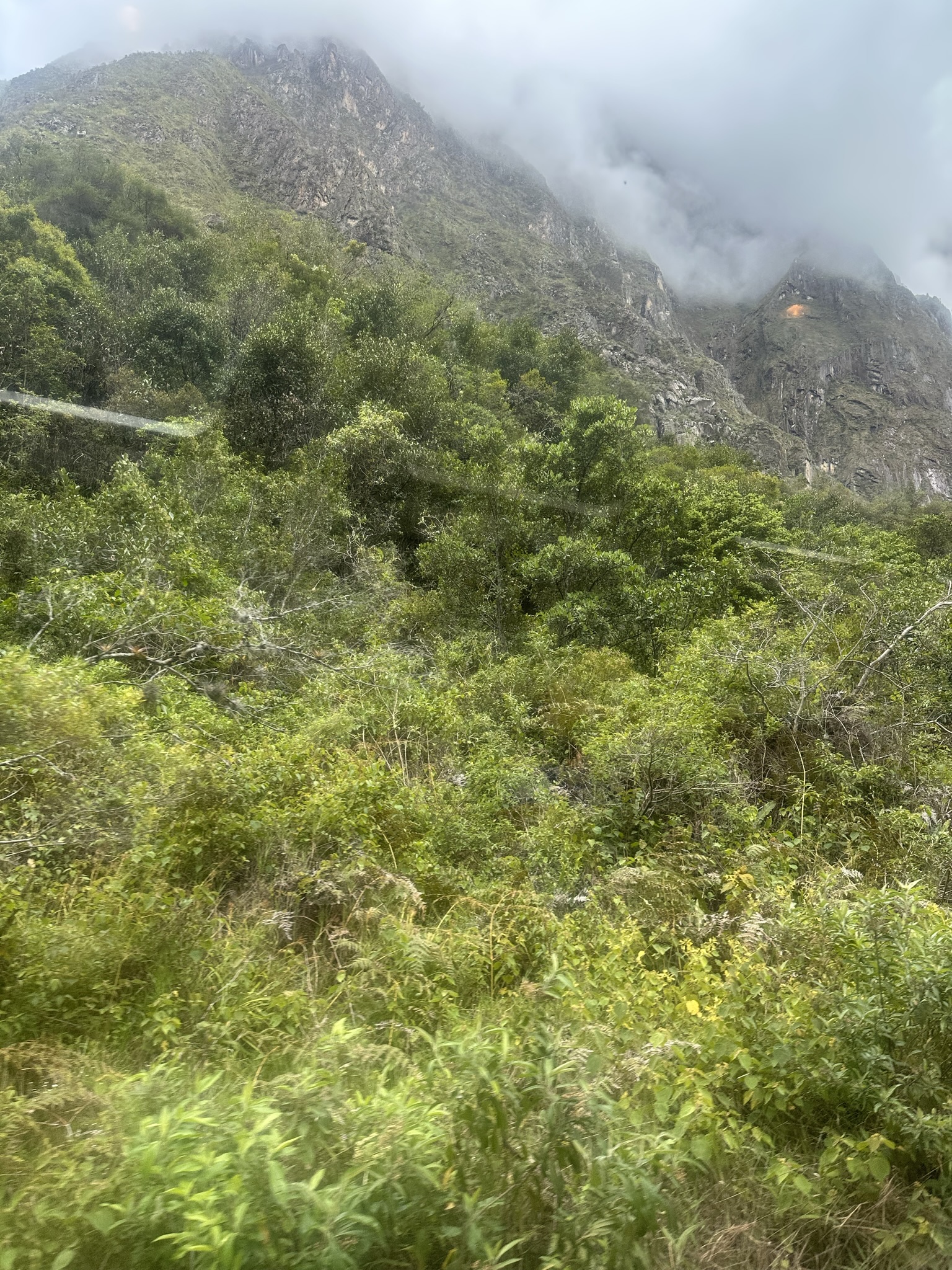 Peru - Image 1164