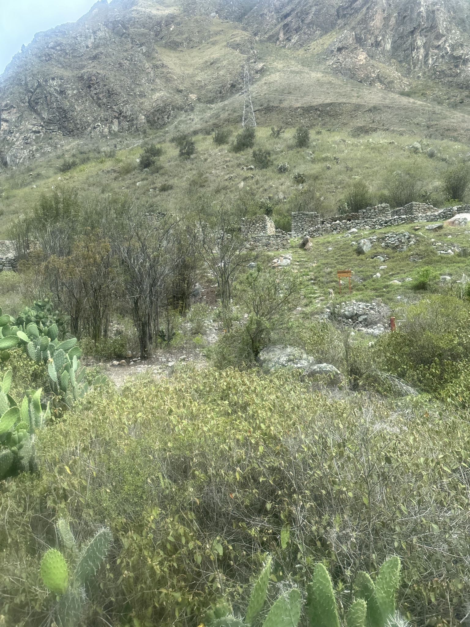 Peru - Image 1169