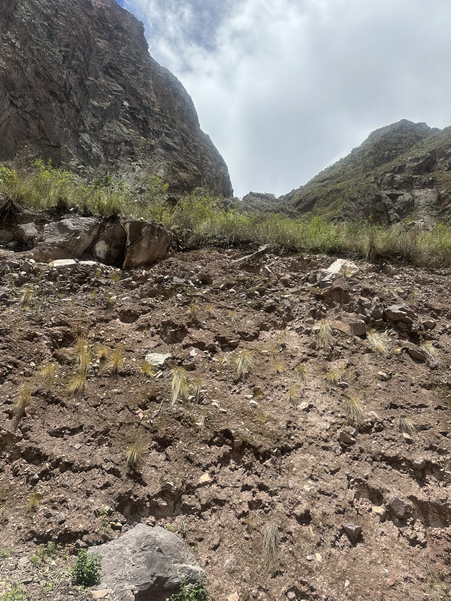Peru - Image 1187