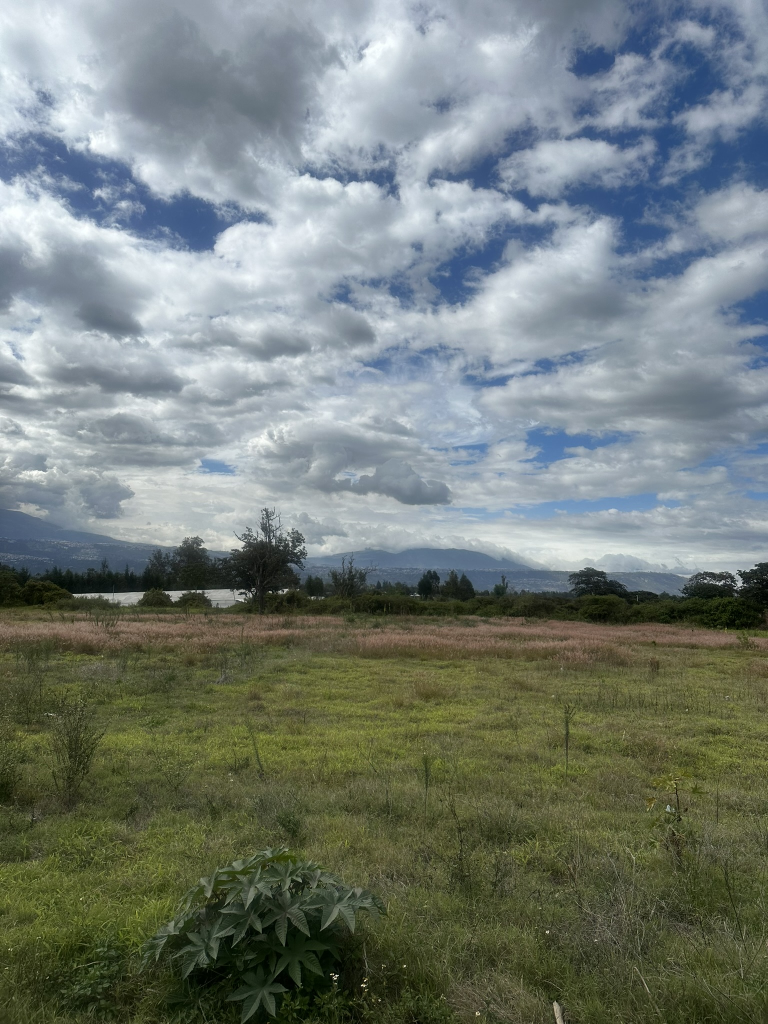 Peru - Image 1190