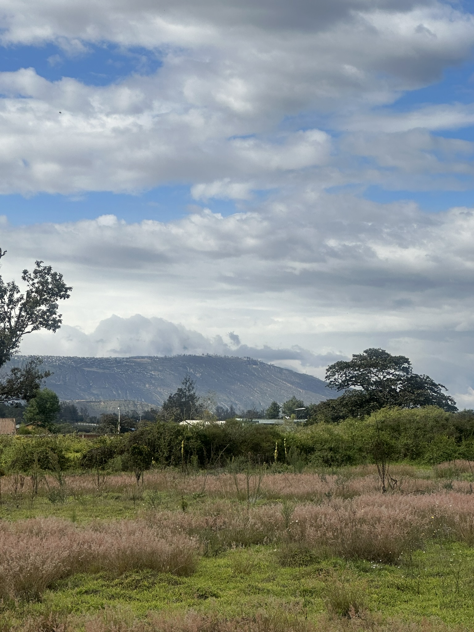 Peru - Image 1192
