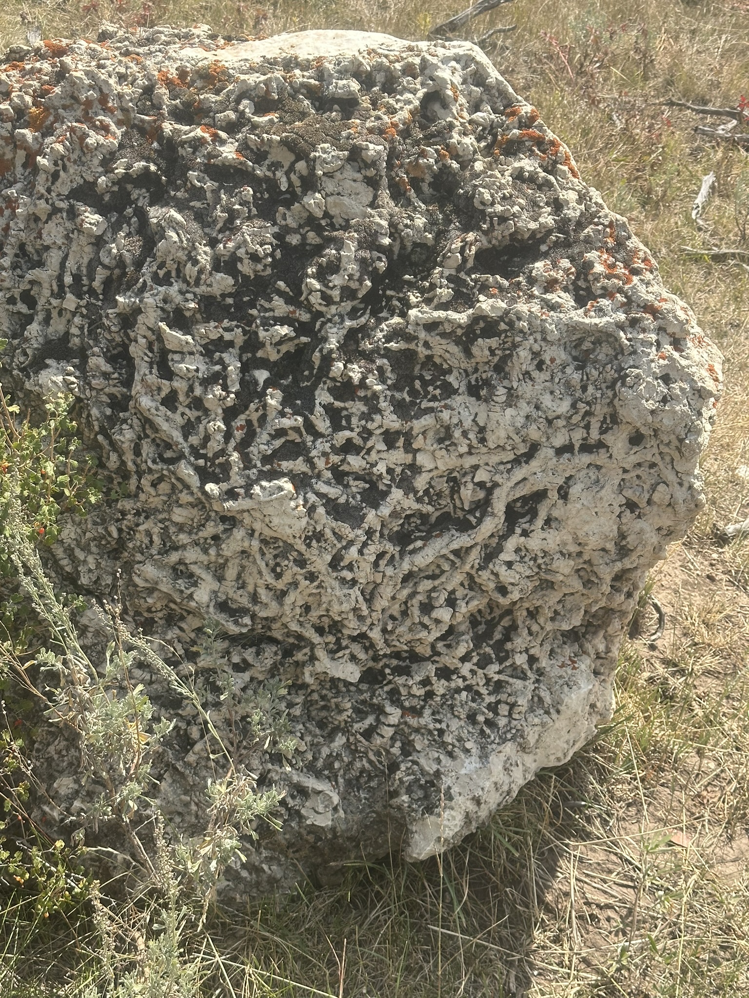 Wyoming - Image 125