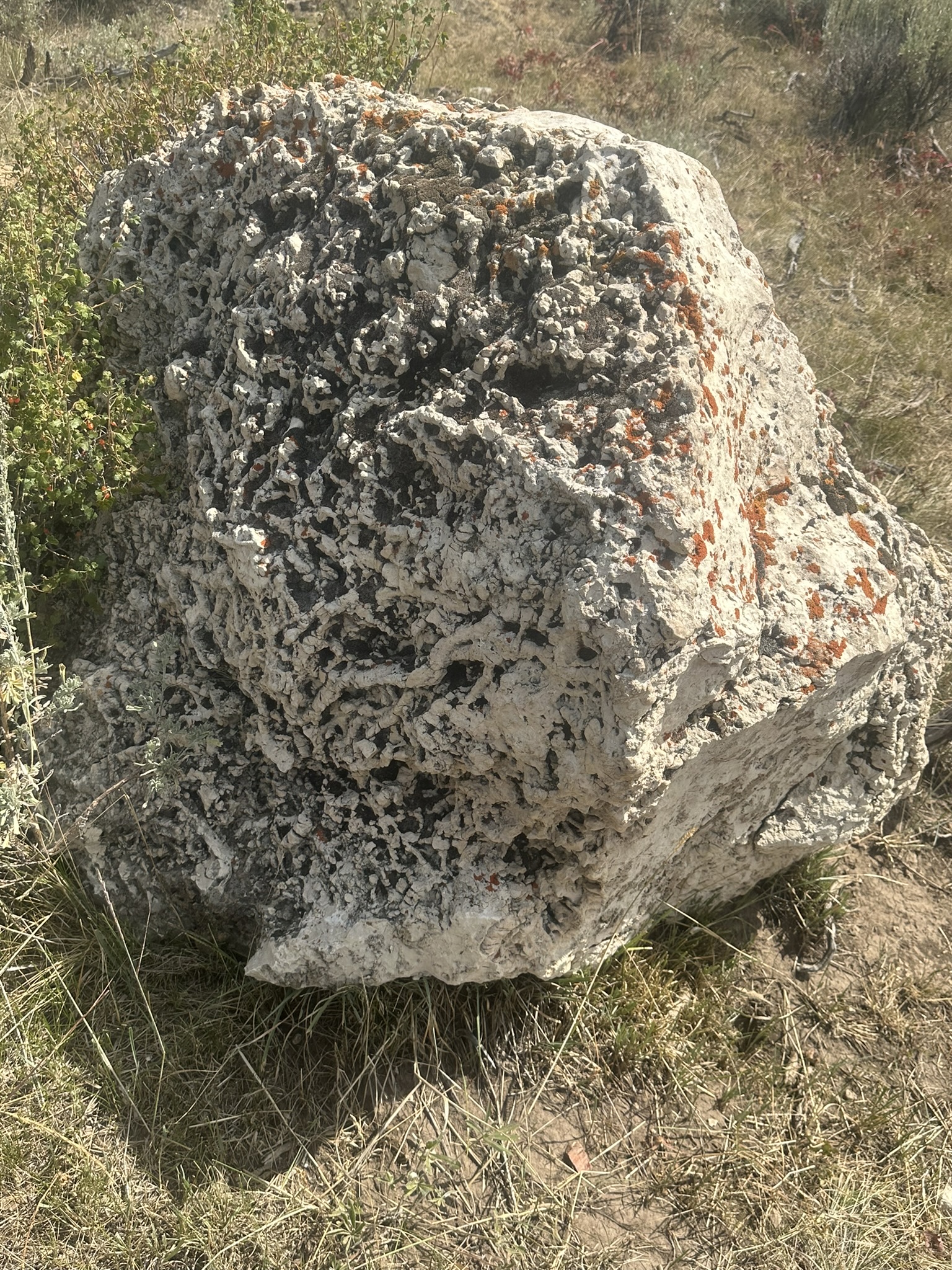 Wyoming - Image 129