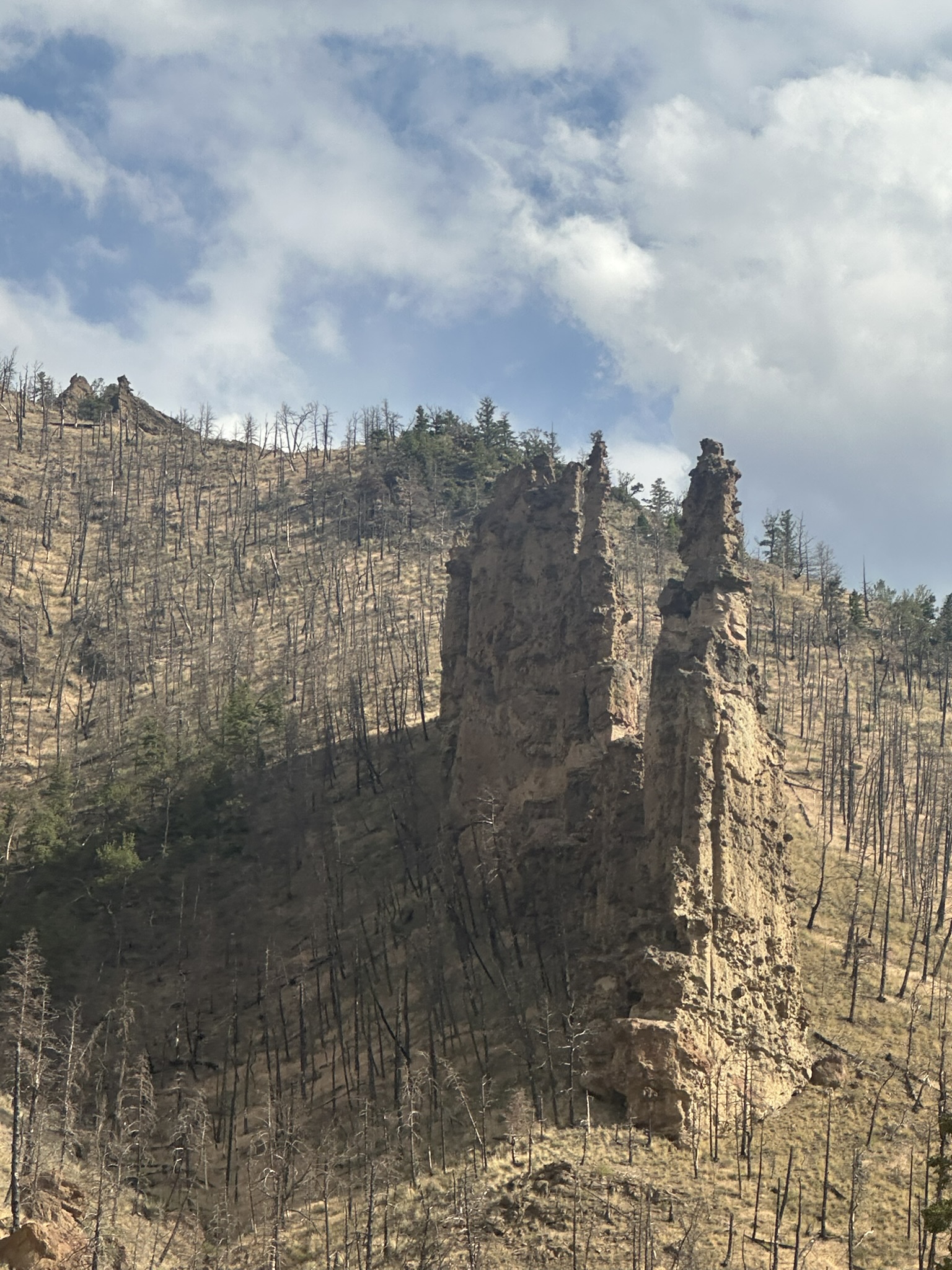 Wyoming - Image 220